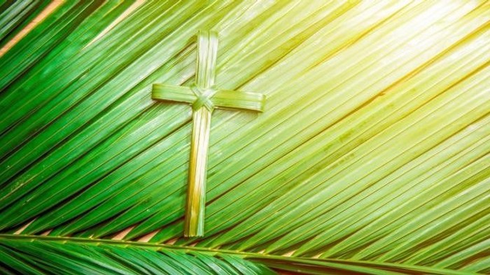 Ein Palmzweig mit Kreuz vor einem farbigen Hintergrund