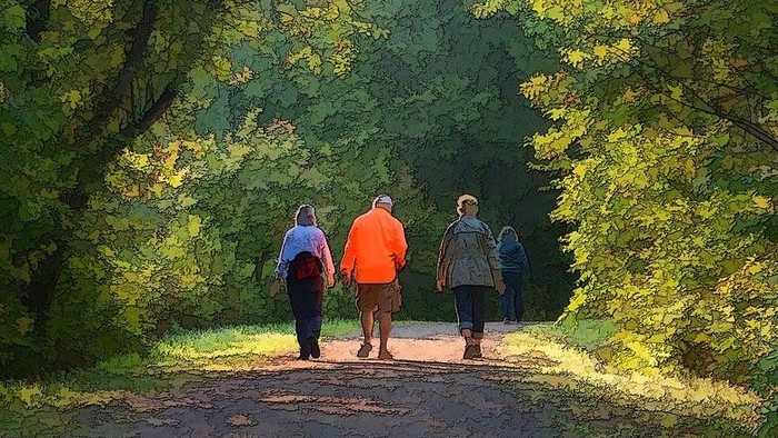 Vier Personen gehen auf einem Waldweg.