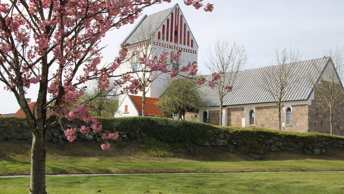 Hyggelig kirke med rød- og hvidstribet tårn omgivet af blomstrende kirsebærtræer og frodig grøn græsplæne.