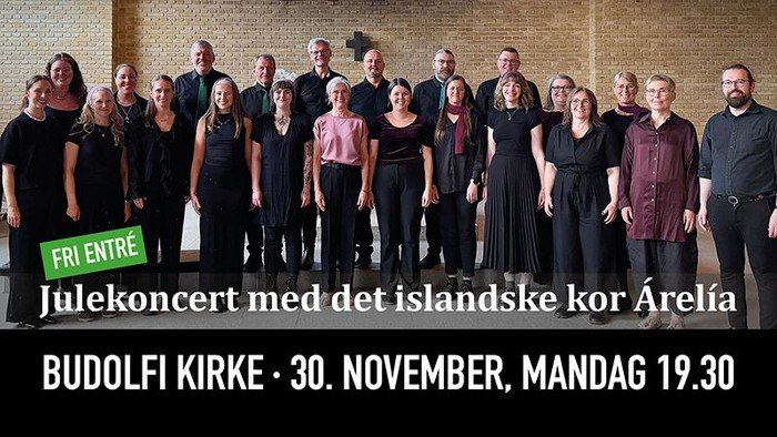 Julekoncert med det islandske kor Árelia.
