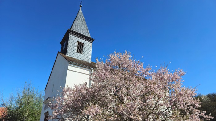Weiße Kirche mit hohem Turm neben blühendem Baum