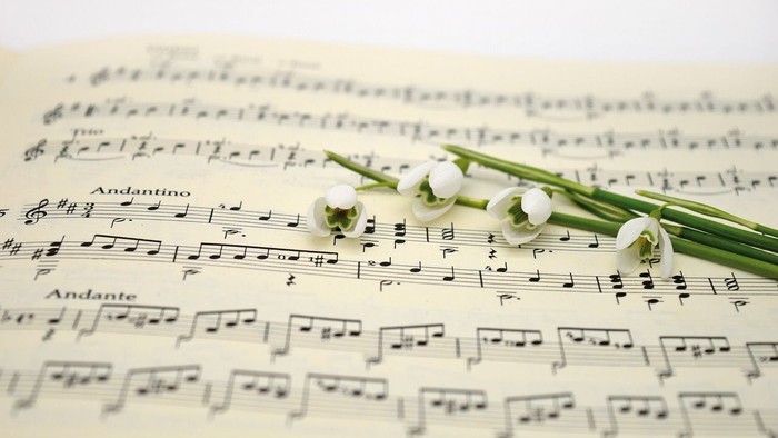 Elegante Notenblätter mit frischen Narzissenstängeln, die sanft auf den Noten liegen und eine zarte, musikalische Atmosphäre hervorrufen.