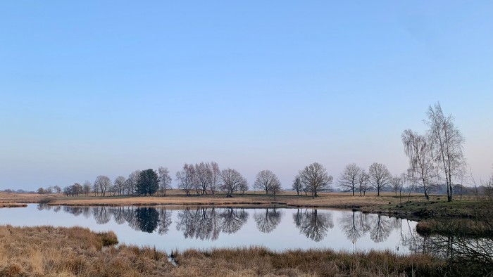 Baumreihe, die sich im Wasser des Julesees spiegelt.