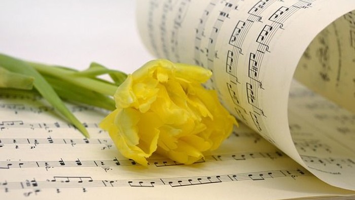 Notenblätter mit gelber Tulpe als Symbol für Musik und kulturelle Veranstaltungen
