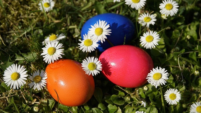 Bunte bemalte Eier, umgeben von weißen Gänseblümchen in einer grasigen Umgebung.