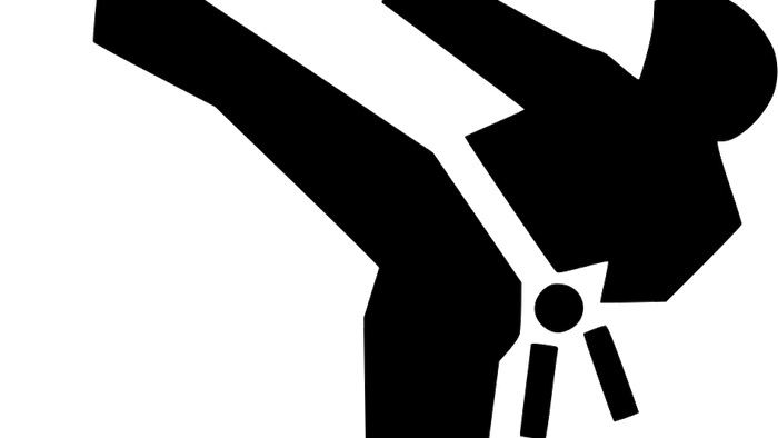 Silhouette of a martial artist performing a high kick.