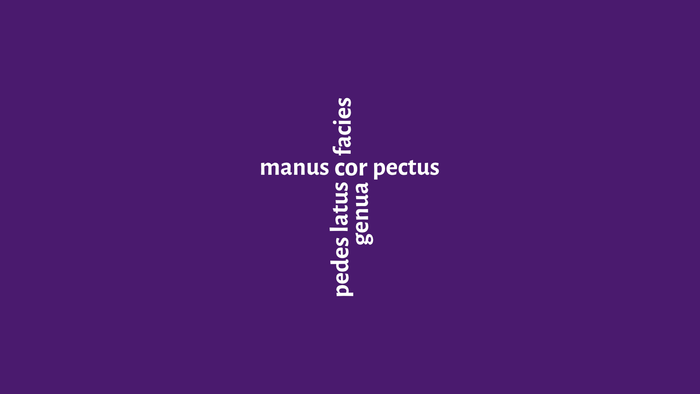 Lateinische anatomische Begriffe vertikal auf einem violetten Hintergrund angeordnet, aufgelistet: manus, cor, pectus, pedes, latus, facies, genua.