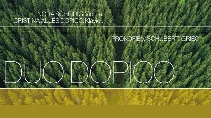 Plakat des Konzertes mit Wald von oben als Hintergrund