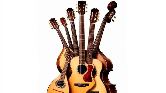 Eine Sammlung von fünf verschiedenen Akustikgitarren und einem Cello, die vertikal und überlappend angeordnet sind.