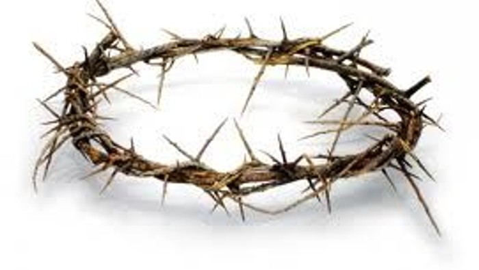 Ein Dornenkranz liegt auf einer weißen Oberfläche