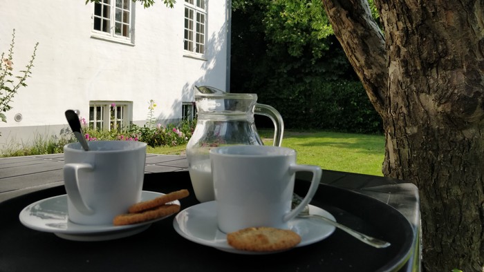 En kaffekande og to tænder med kager på en bord under et træ ved siden af et hvidt hus.