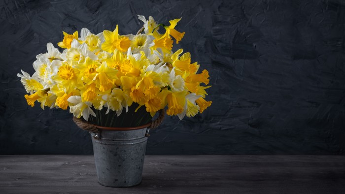 En blomsterkasse med gule og hvide narciser på en mørk bordsplade