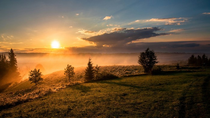 Das Bild zeigt einen Sonnenuntergang über eine Wiese mit einigen Bäumen.