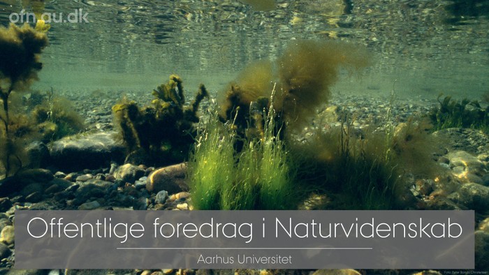 Undervandsbillede af en naturvidenskabelig undersøgelse