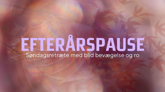 Beskrivelse af arrangement Efterårspause