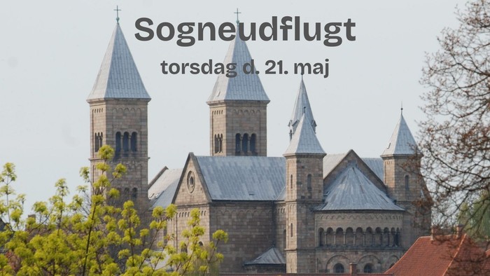 Foto af Viborg Domkirke