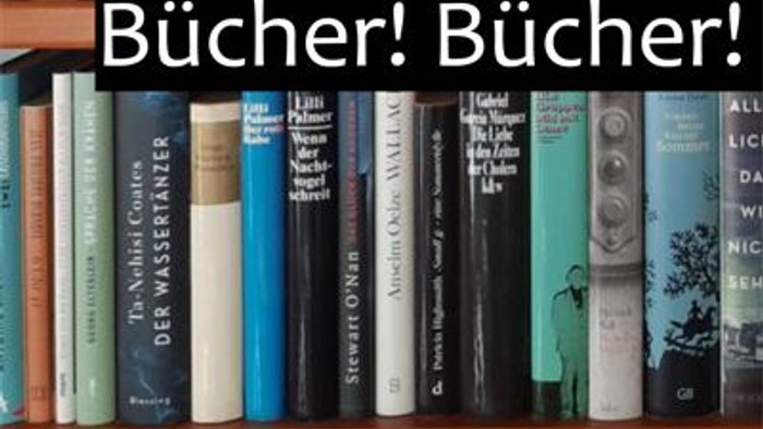 Eine bunte Sammlung von Büchern, ordentlich in Regalen angeordnet, mit dem Wort **