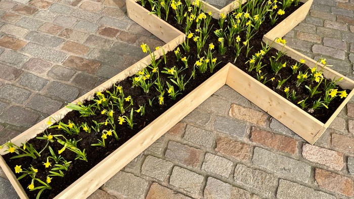 Holzbeete in Kreuzform mit jungen Pflanzen auf Kopfsteinpflaster