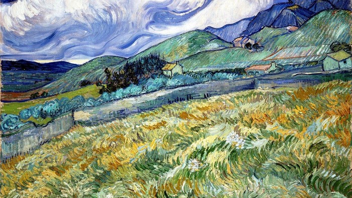 Das Bild eines Weizenfelds an einem Sommertag