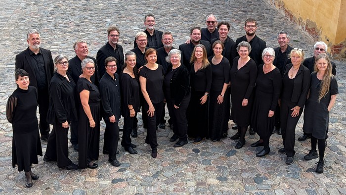 En gruppe musikere i formelt sort tøj, der poserer sammen udendørs på brostensbelagt fortov.