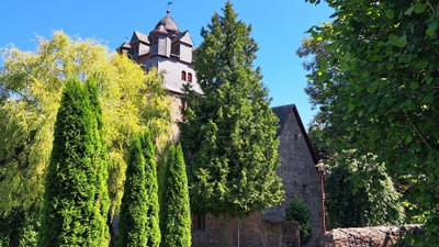 Hohe Burg mit spitzem Dach, umgeben von üppig grünen Bäumen und klarem blauem Himmel.
