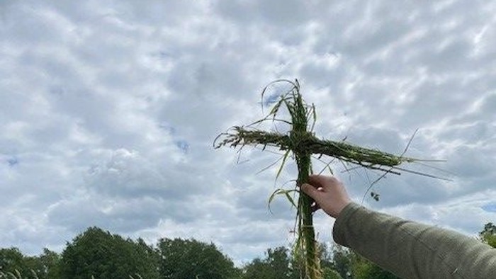 En person holder en skærsom i et grønt felt under en skyeret himmel