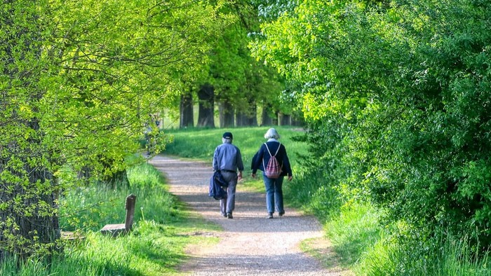 Ein Park mit zwei Personen die spazieren gehen,