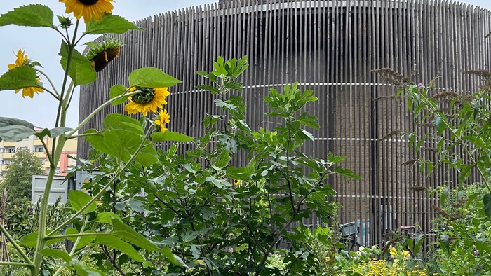 Die Kapelle der Versöhnung mit blühender Sonnenblume