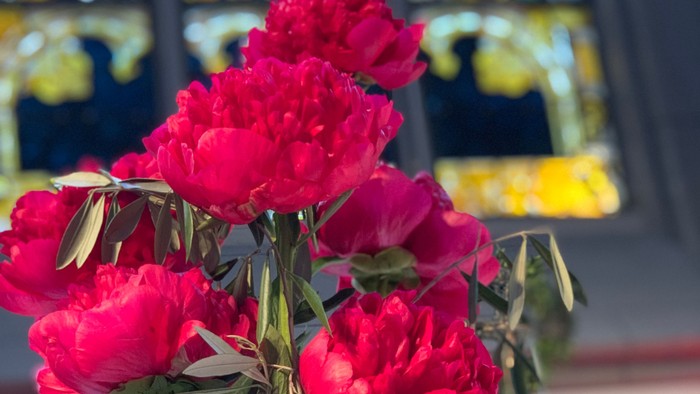 Rote Blumen vor buntem Kirchenfenster
