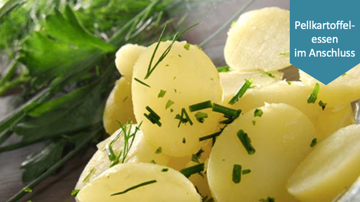 Gekochte Pellkartoffeln mit frischem Schnittlauch