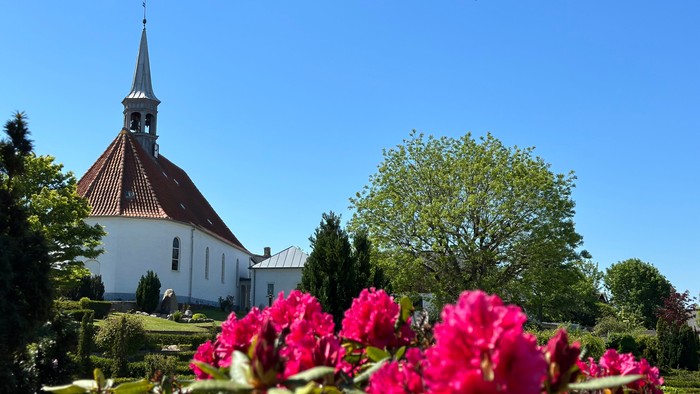 En hvid kirke med spiret og rødt tag, omgivet af træer og rød blomst.