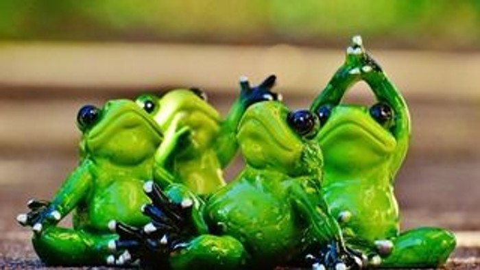 Bunte Froschfiguren posieren verspielt in einer meditativen Gruppe auf einer hölzernen Oberfläche.