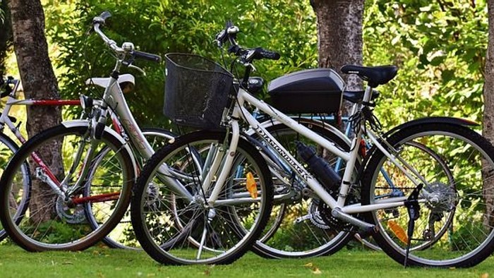 Mehrere abgestellte Fahrräder auf einer Wiese im Park, umgeben von grünen Bäumen und natürlicher Vegetation.
