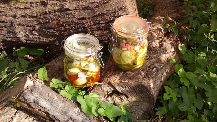 Zwei Einmachgläser mit eingelegtem Gemüse, die auf einem verwitterten Baumstamm im Freien liegen.