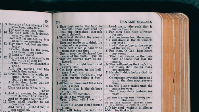 Eine offene Bibel mit sichtbarem Text auf den Seiten vor einem strukturierten grünen Hintergrund.