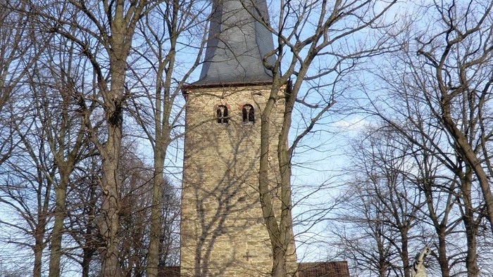 Historische Steinkirche mit hohem Turm und kahlen Winterbäumen in der Umgebung.
