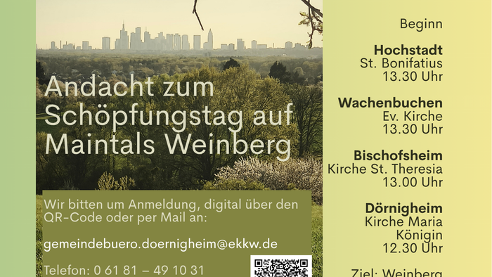 Weinberg mit Startpunkten