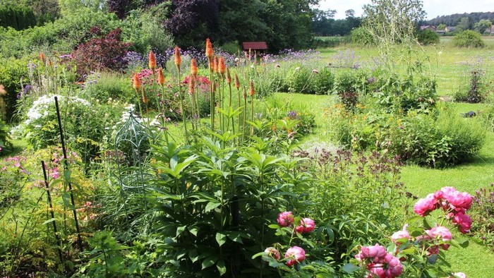 Üppiger Garten voller lebendiger Blumen, hoher Gräser und blühender Rosen unter grünem Laubwerk.