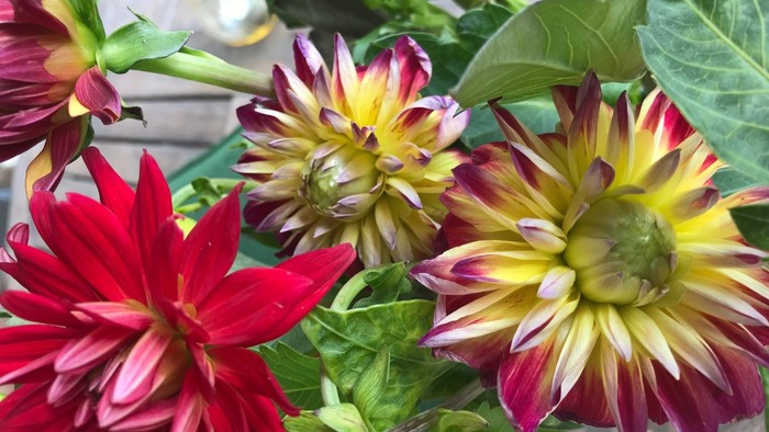 En blomsterarrangement med røde og gule blomster.