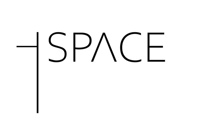 Space Logo