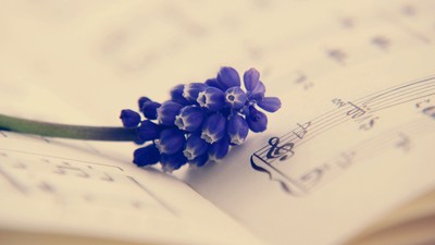 Ein blaues Blumenbündel liegt auf Notenblättern.