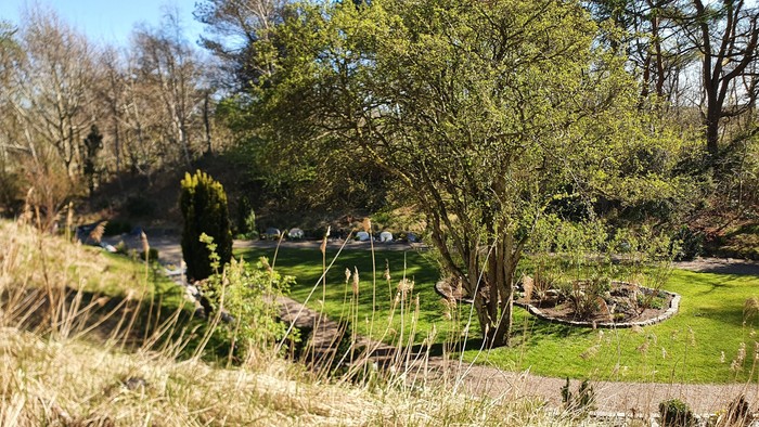 En rolig park med græs, buske og træer, og en lille vandning i forgrunden