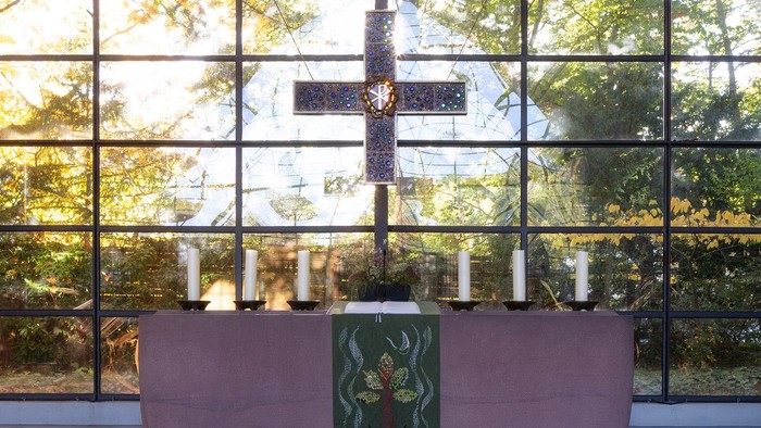 Modernes Zimmer mit großen Fenstern, rosafarbenem Sofa und grüner Kunst