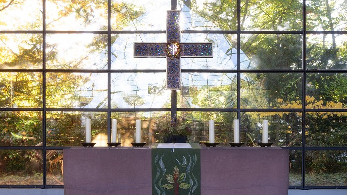 Modernes Zimmer mit großen Fenstern, rosafarbenem Sofa und grüner Kunst