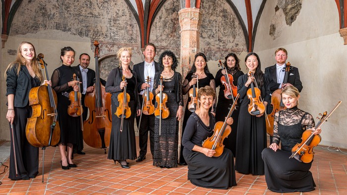 Ein Streichquartett und Orchestermitglieder posieren gemeinsam in einem gewölbten Steinkorridor und halten verschiedene Instrumente.