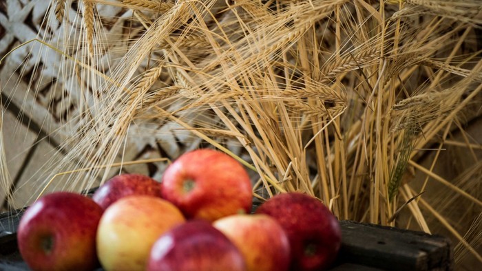 En korbund med røde og gule æbler foran hvedehalm.