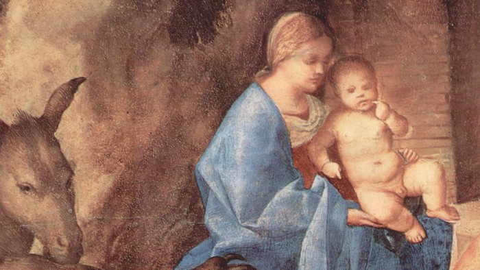 En kvinde i blåt holder en baby nær dyr i en stald.