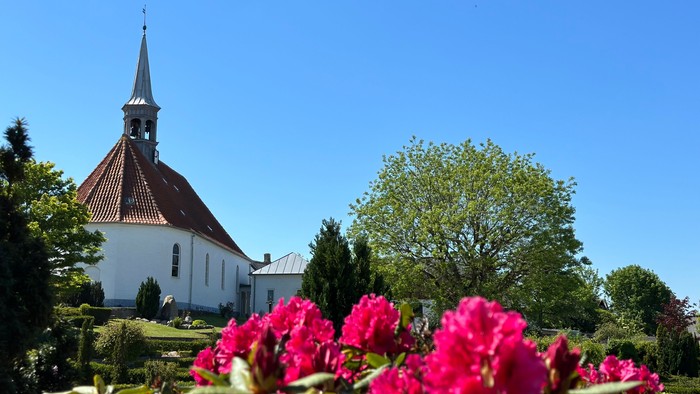 En hvid kirke med spiret og rødt tag, omgivet af træer og rød blomst.