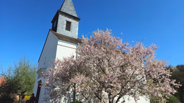 Weiße Kirche mit hohem Turm neben blühendem Baum