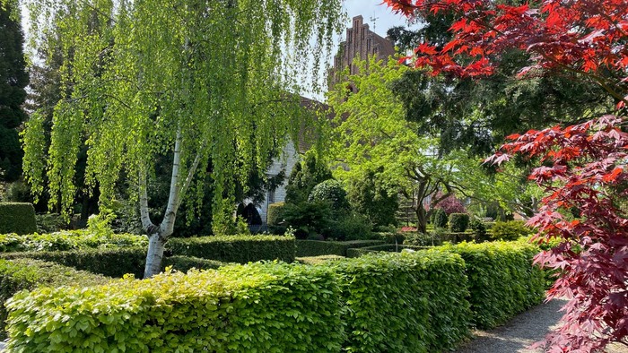 En smuk have med grønne buske og røde blomstertræer